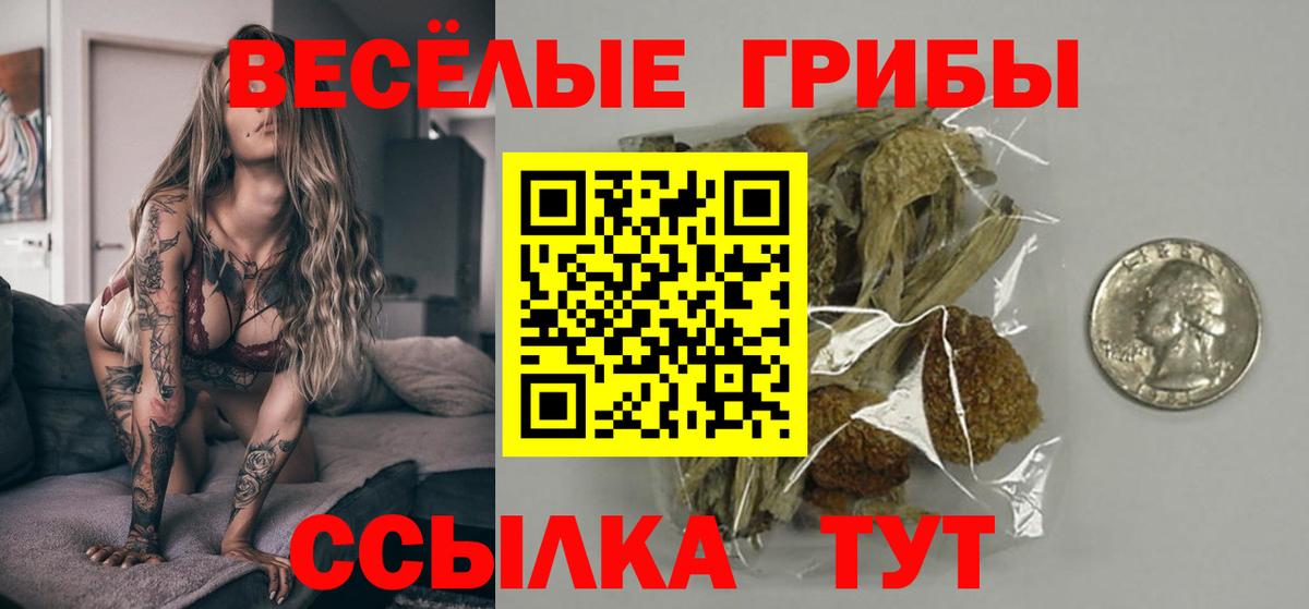Галлюциногенные грибы прущие грибы Сунжа